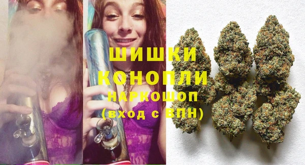 дживик Верхний Тагил
