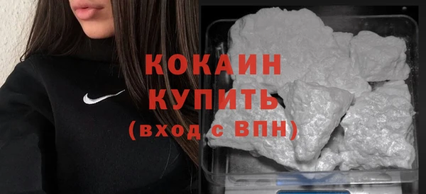 ECSTASY Бородино