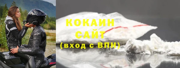ECSTASY Бородино