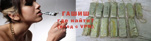 ECSTASY Бородино