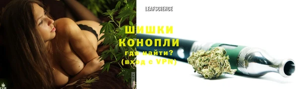 сатива Бронницы