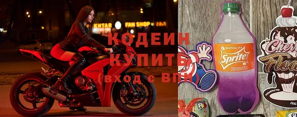 дживик Верхний Тагил