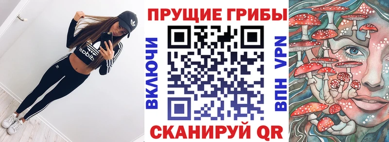 Псилоцибиновые грибы MAGIC MUSHROOMS  darknet какой сайт  Дмитровск 